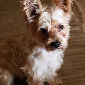 Meet your Posher, L.